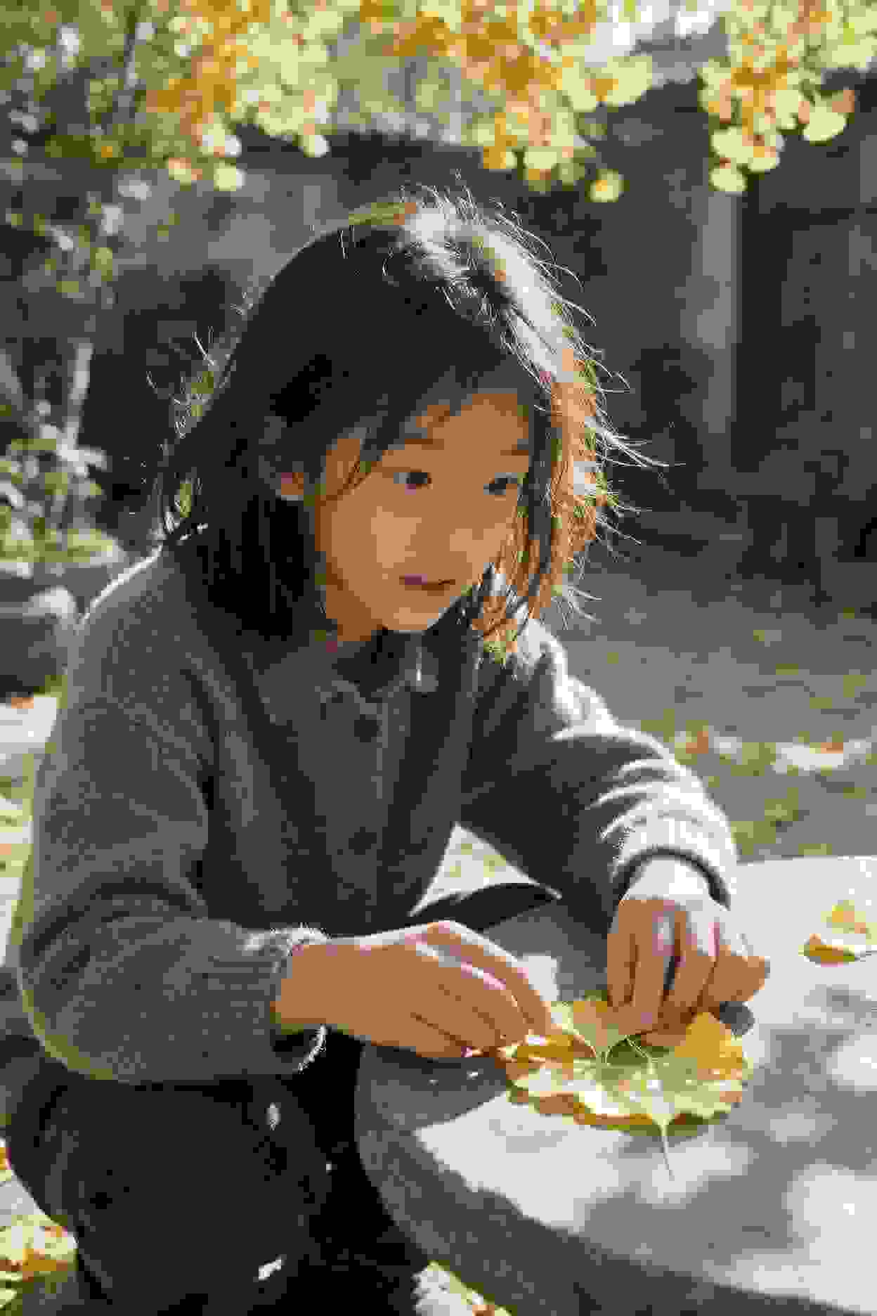 动画